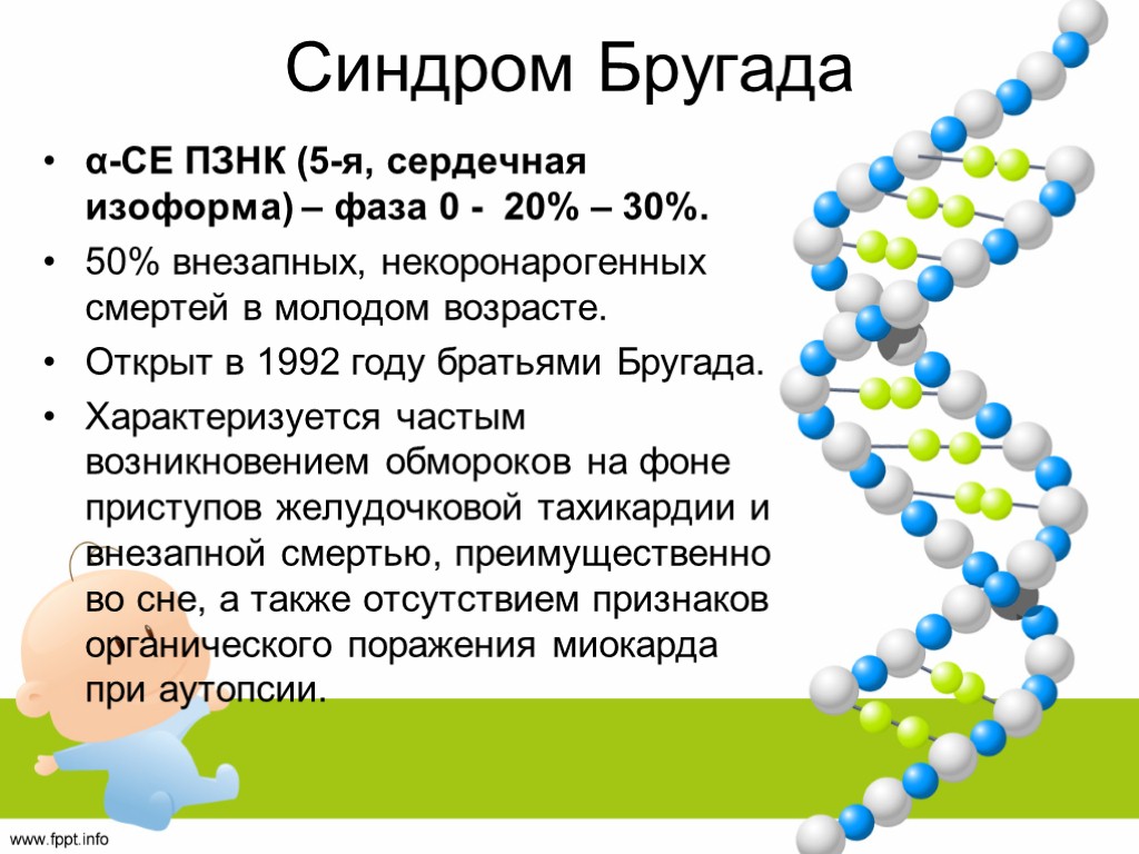 Синдром Бругада α-CЕ ПЗНК (5-я, сердечная изоформа) – фаза 0 - 20% – 30%.